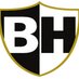 The B Hives (@thebhives) Twitter profile photo