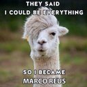 garry weber - @PSuzdalev - Twitter