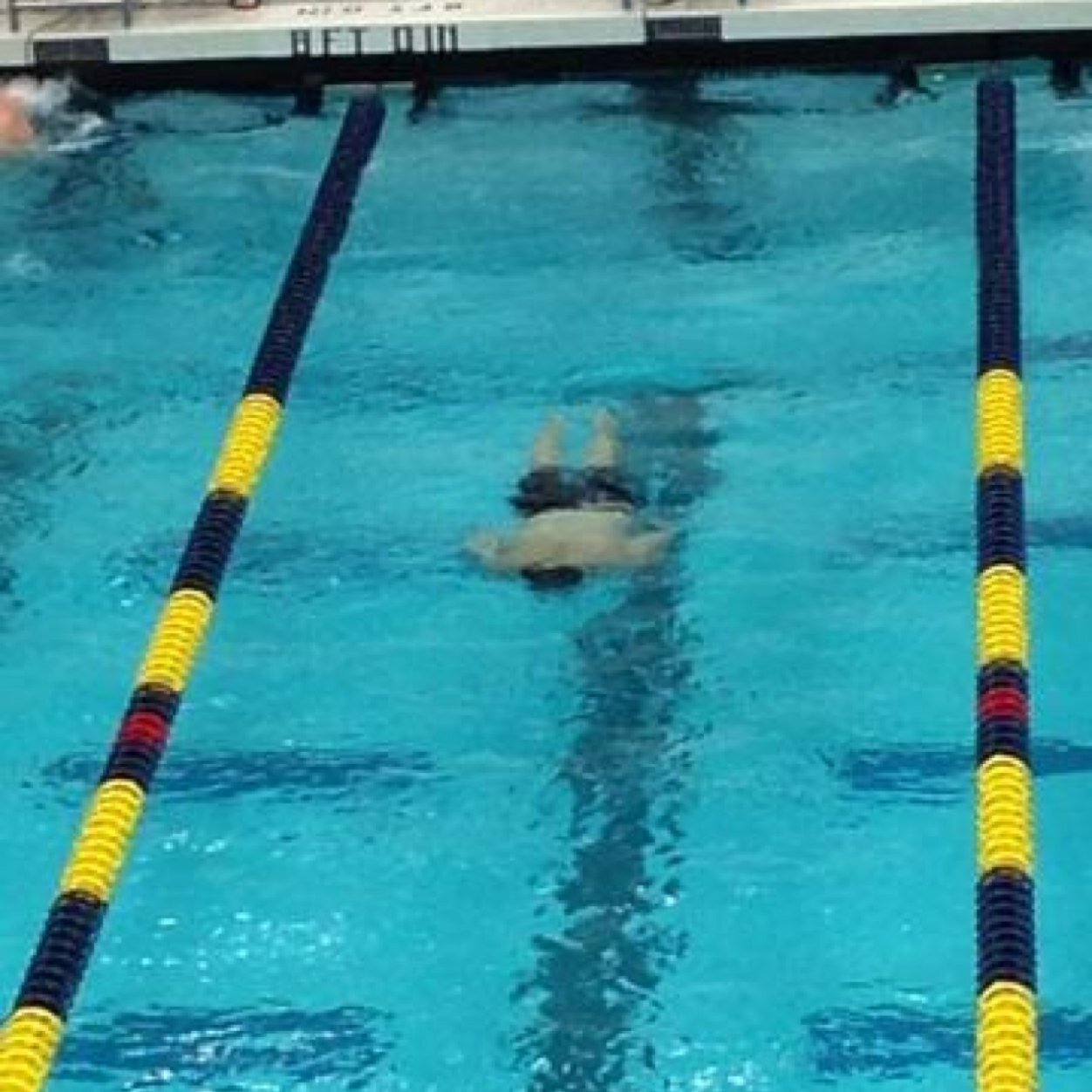 timliddy11's profile picture. 