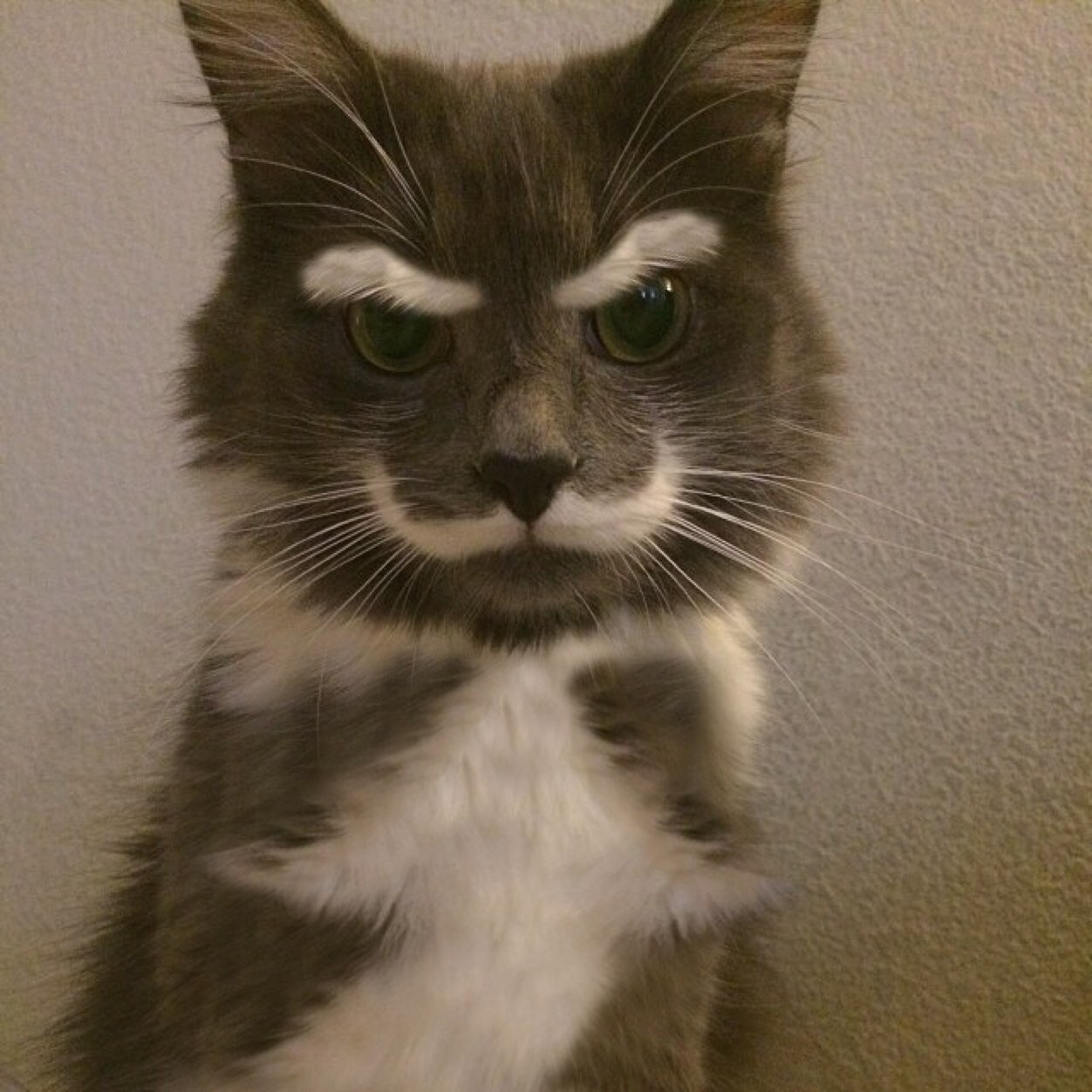 I am the instrument of my own destruction.