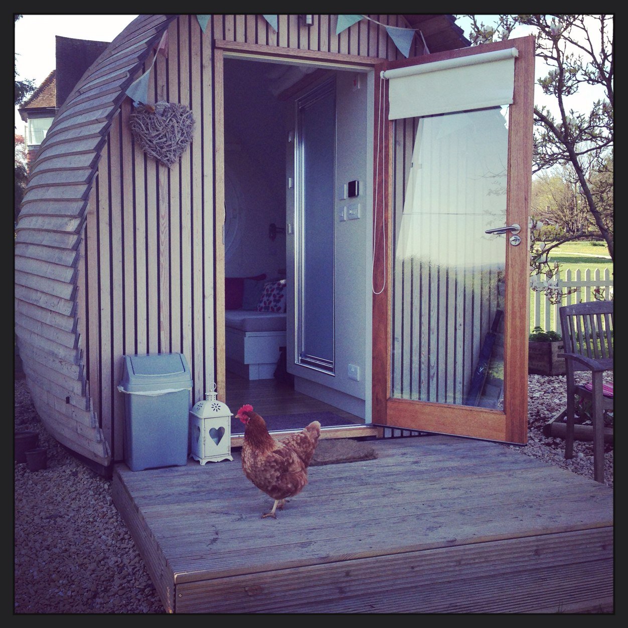 Stacielees87's profile picture. 