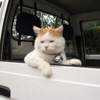 うまいぬ@ママ活 (@inu_snds) Twitter profile photo