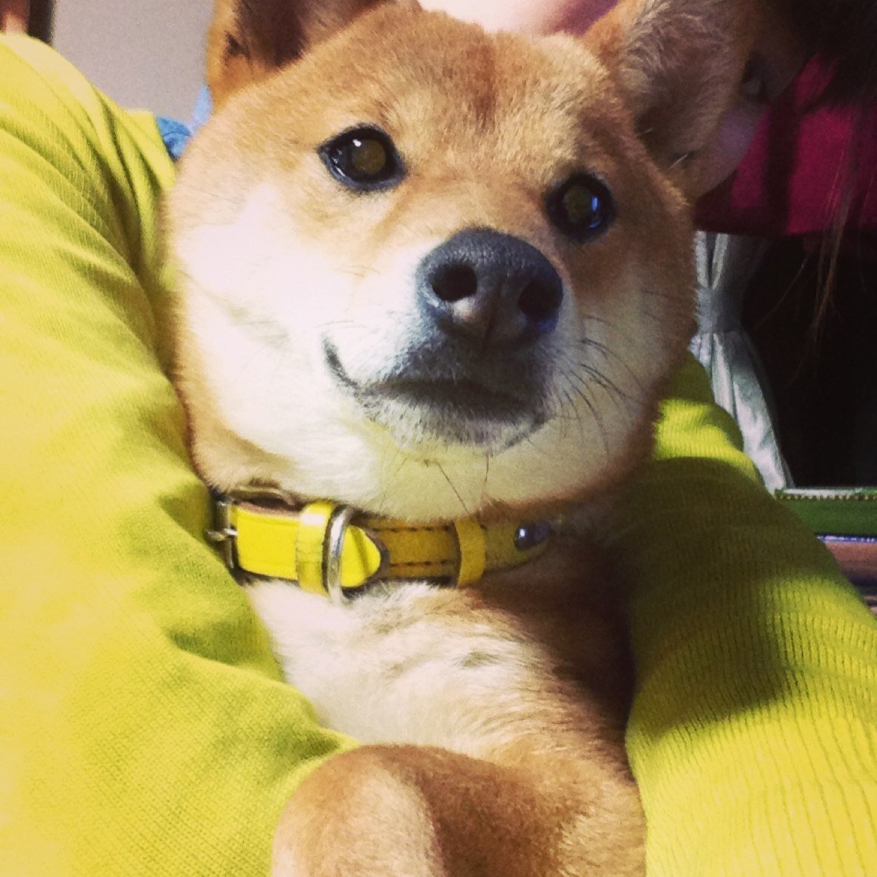 yuumi_com's profile picture. 好きなものは…牛乳・レーズンパン