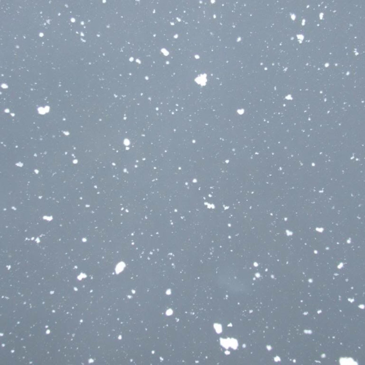 PaigeBethxo's profile picture. .