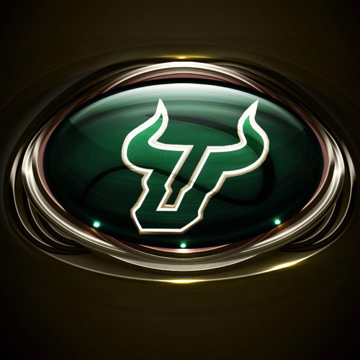 My Snapchat: aian-rodriguez #UniversityofSouthFlorida
