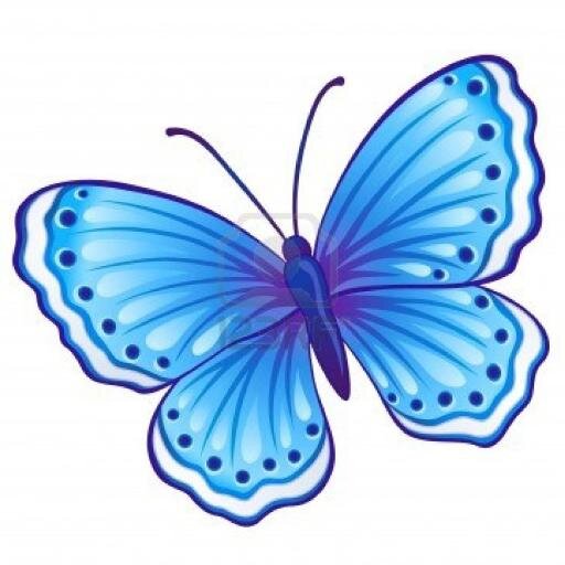 stmaryscbo's profile picture. 