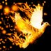 50 Days of Fire (@50daysoffire) Twitter profile photo