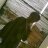 hendriyanaa's profile image
