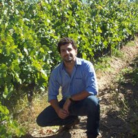 Agustín Lombroni (@agustinlombroni) 's Twitter Profile