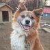 rino (@ama_mamama) Twitter profile photo rino (@ama_mamama) Twitter profile photo