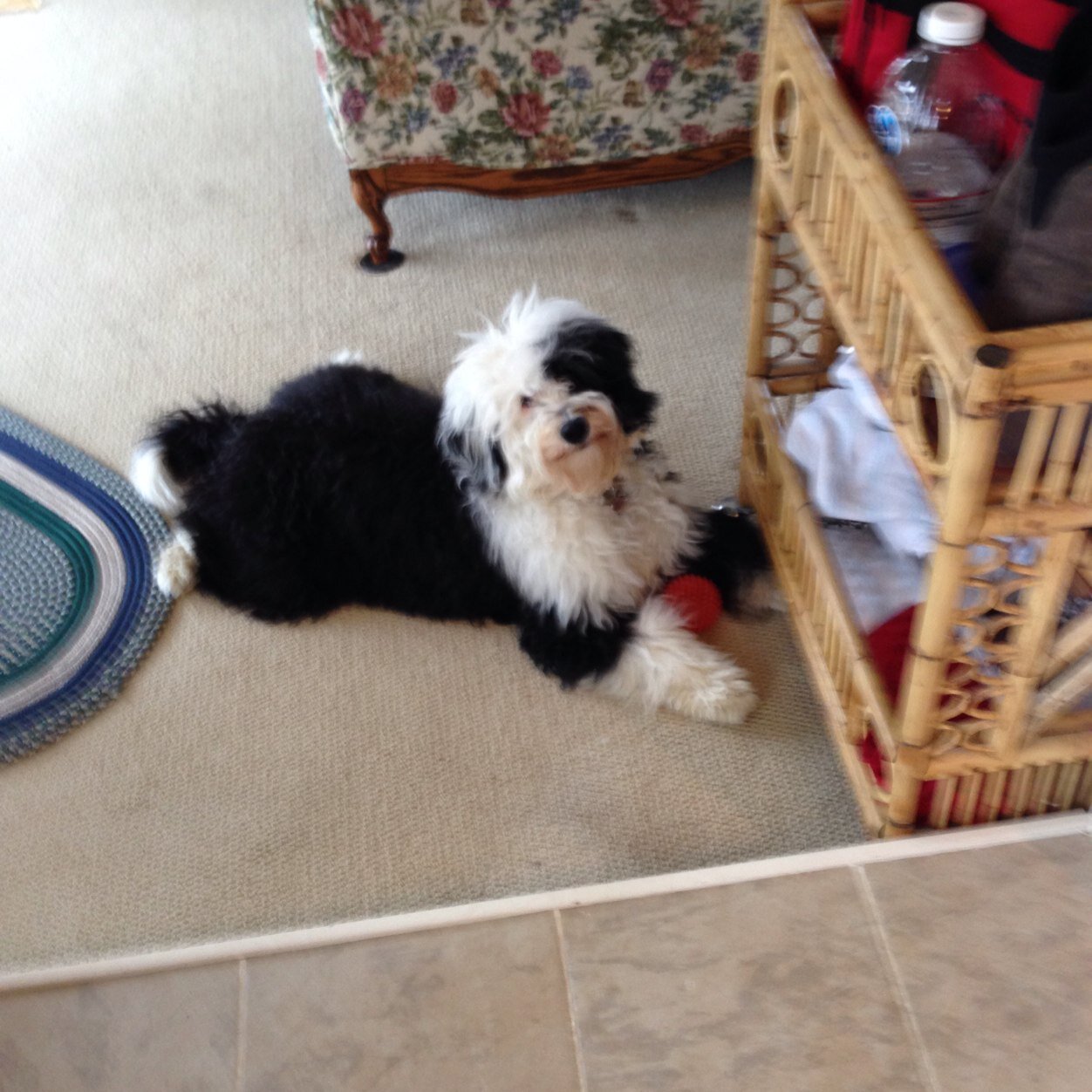 JudyEllen's profile picture. 