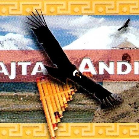 lexmancillaa's profile picture. 