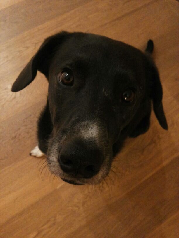 I_Love_Logan81's profile picture. Italian author of the historical novel The Warrior's Bride and several fairy-gothic tales. She loves walking her dog, reading books and dreaming about storms.