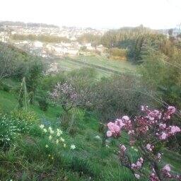 大分→神戸→福岡在住の社会人です。よろしくお願いいたします(*^^*)
恥ずかしがりやでふぁぼ魔で無言でフォローしてしまいすみませんm(_ _)m
BIG LOVE：星野源さん/野木亜紀子さん/MIU404

MAD HOPE 福岡6/18
ただ幸せが一日でも多く側にありますように
