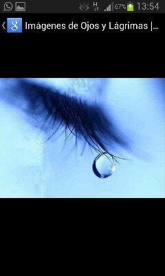 loli16160's profile picture. 