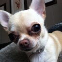 William Andreassen - @WilandrWilliam - Twitter