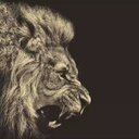 داود عطون (@0528189155) Twitter