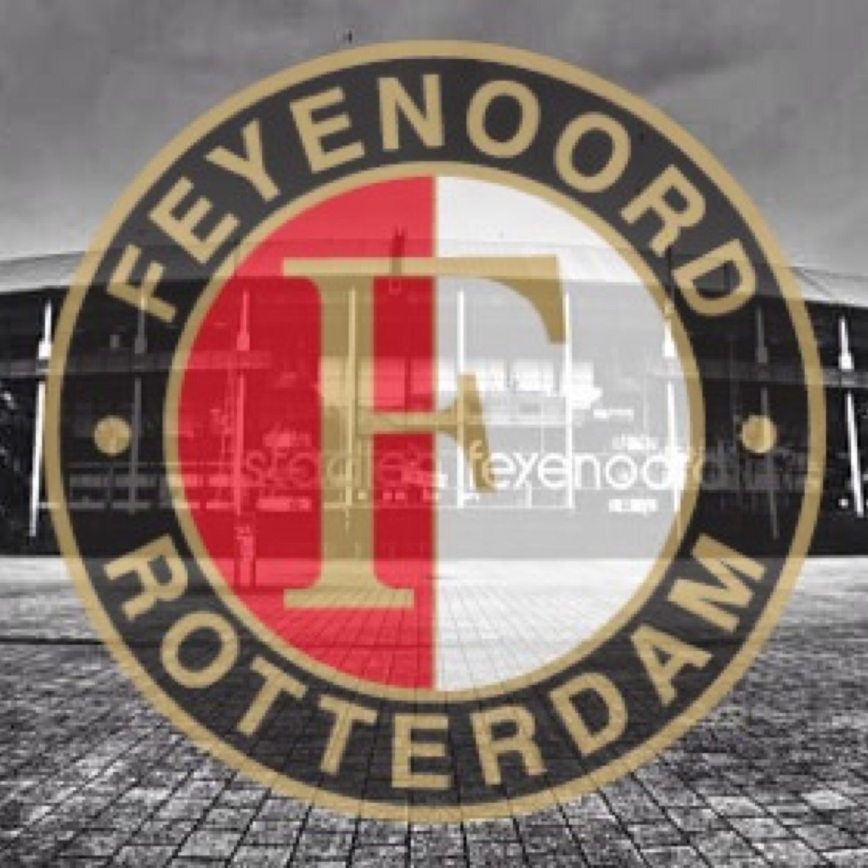 010Feyenoord_'s profile picture. Feyenoord support | Live wedstrijdverslag | Foto's en Video's | Nieuws | Feyenoord till we die!
