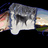 FamilyOutdoors1's profile image