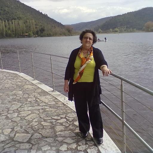 bertini1955's profile picture. 