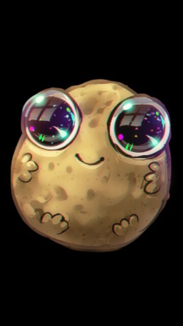 The egg came first