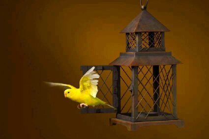 ‏أنا انثى افتخر بما عندي .. شاكرة ماانعم به علي ربي