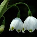 Rita Bronson - @RitaBronson - Twitter