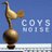COYSnoise's profile image