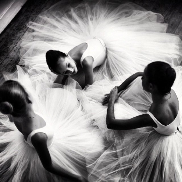 Dancing_A_Dream's profile picture. Just a girl with the hopes of becoming a Professional Dancer                          ⭐️Rachael Sage⭐️ Follows!