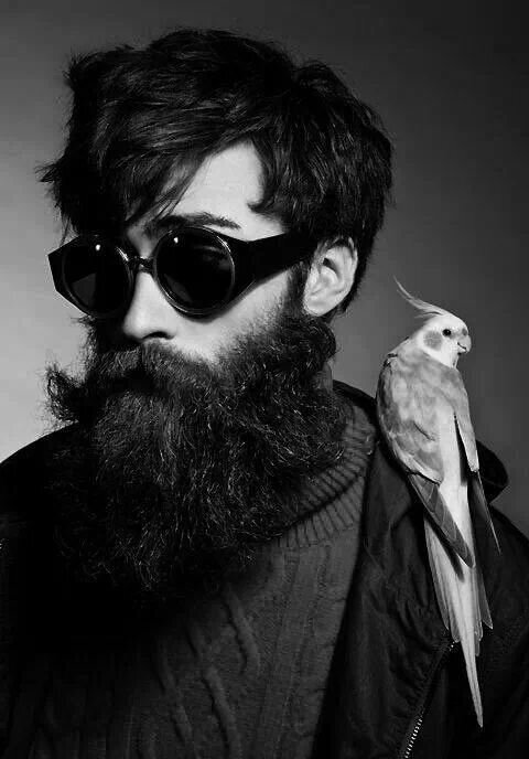 gaftirik's profile picture. 