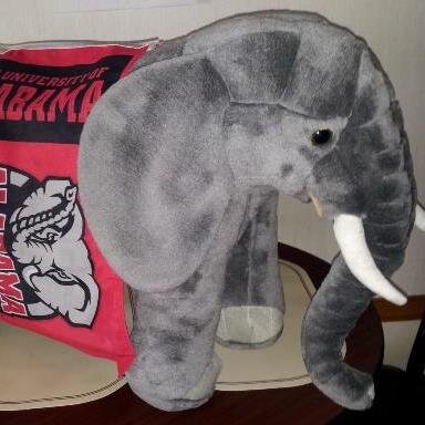 1966ss396's profile picture. 