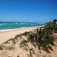 Empresa (ficticia) de alojamiento y  turismo activo, ubicada en los Caños de la Meca. Nuestro Facebook-- Eco Caños