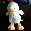 Abby Rupp - @ruppiano - Twitter