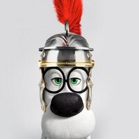Bob Kash (@kashfloat) 's Twitter Profile