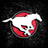Profile Picture of Calgary Stampeders (@@calstampeders) on Twitter