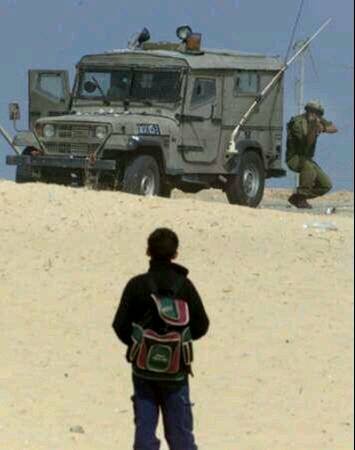 syafruddinhafid's profile picture. Muslim