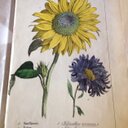 karin irvin - @KarinIrvin - Twitter