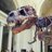 Profile Picture of Specimen FMNH PR2081 (@@SUEtheTrex) on Twitter