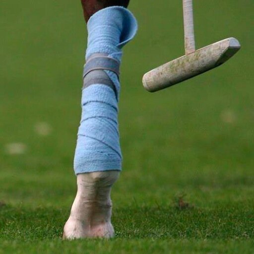 WELCOME TO CHELSEA POLO
Polo Clothing - Learn to Play Polo - Polo Corporate Hospitality and all things polo.