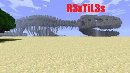 Minecraft Youtuber.