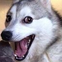 ben stimpson - @stimpson99 - Twitter