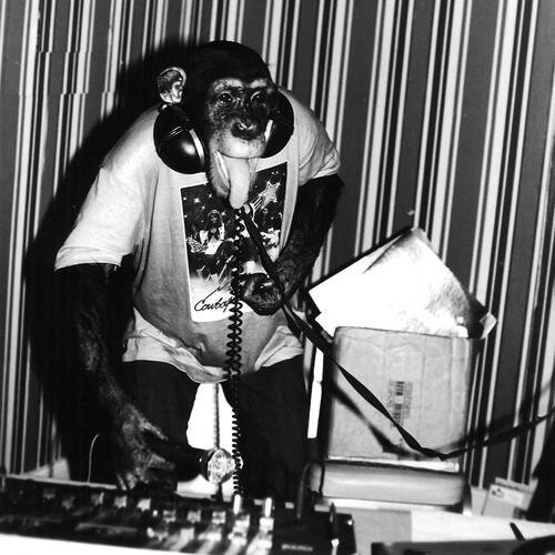 « Megabass Def a beaucoup d’humour et énormément de talent ». Laurent Garnier. http://t.co/0KgKPRxPgg
J'ai une grosse banana. Megabass Def