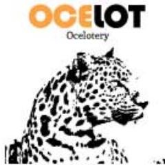 Ocelotery es el primer sistema de loterias basado en internet, no tenemos limites en cualquier lugar a cualquier hora.