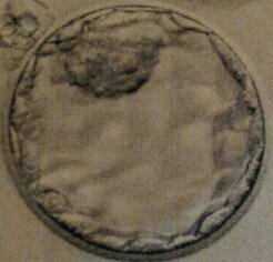 Finally a mom to a beautiful baby boy after 7 embryo transfers