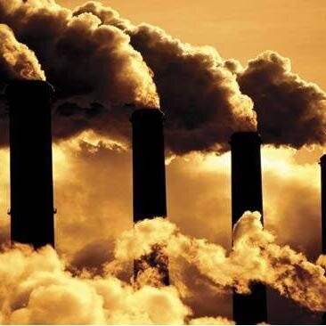 [ Environment News ]