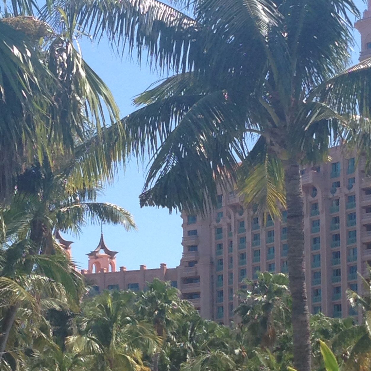 hjdwyer's profile picture. 