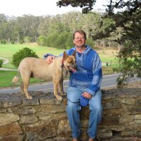 Thomas Donnell Olson (@thomasdolson) 's Twitter Profile