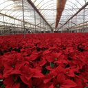 Mark Vukelich - @MarkVukelic - Twitter