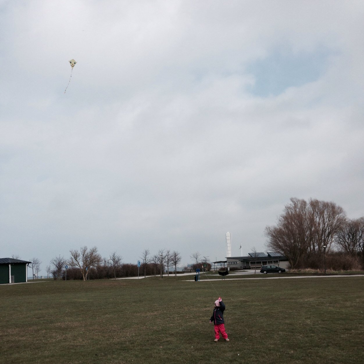 Forkylt's profile picture. Motvindsfantast