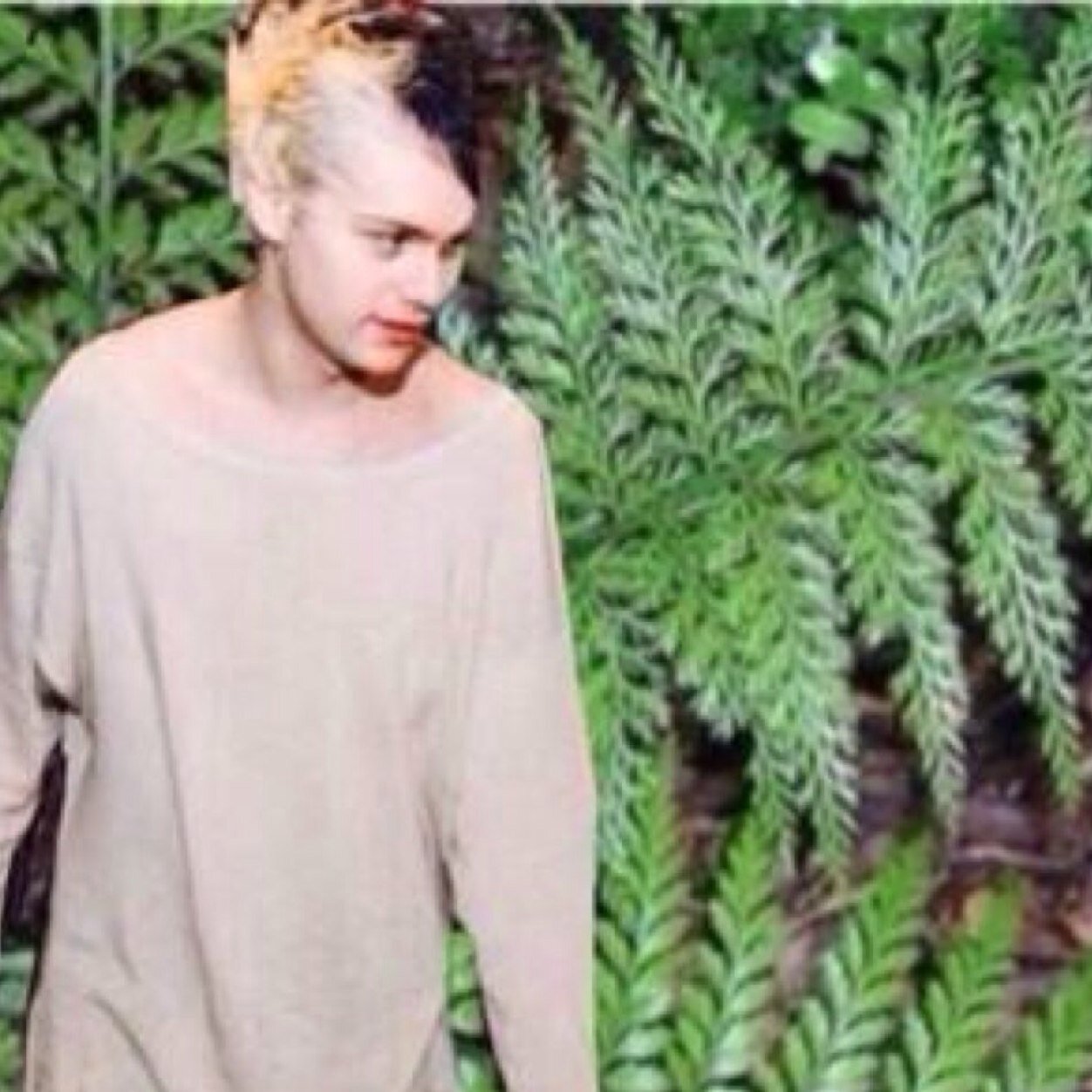FrondlyMichael's profile picture. Free follow from @harryfedorable || rt this please ~ https://t.co/9RZF9U2q5N